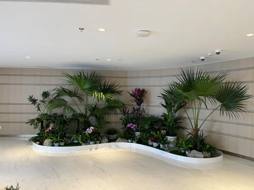 宁波慈溪花木租摆价格实惠